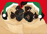 (HA94) 2 Fawn Holiday Pugs