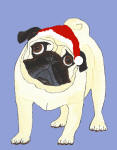 (HA26) - Holiday Standing Fawn Pug 