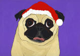 (HA64) - Holiday Fawn Pug