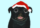 (HA70) - Holiday Black Pug