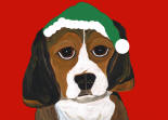 Holiday Cards