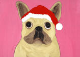 (HFRB) Holiday French Bulldog