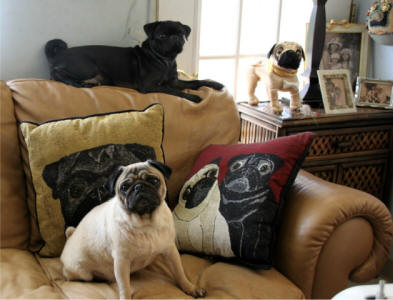 Ma-kytah and Shady from Guam love their pillows!