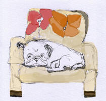Sweet Dreams - Napping Pug