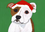 (HPIT) - Holiday Pit Bull