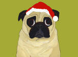 (HA62) - Holiday Fawn Pug