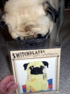 Salinger loves his new switcplate!
