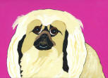 Pekingese