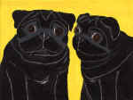 (A20) 2 Black Pugs with yellow background