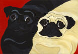 (A33) Fawn & Black Pugs with red background