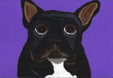 French Bulldog - Black