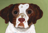 Brittney Spaniel