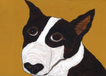 Bull Terrier