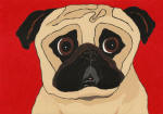 (A82) Fawn Pug w/ Red Background