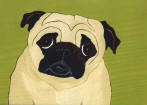 (A58) Fawn Pug with green background