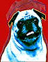 Art Paw