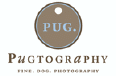 Pugtography