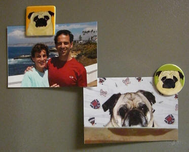 Super strong magnets hold up photos and more!