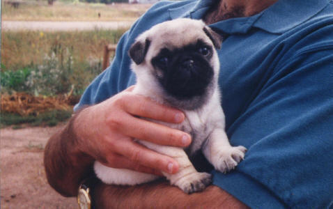 Emmitt - 1996 - 5 weeks old