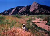 Emmitt at the Flatirons -  Boulder, CO